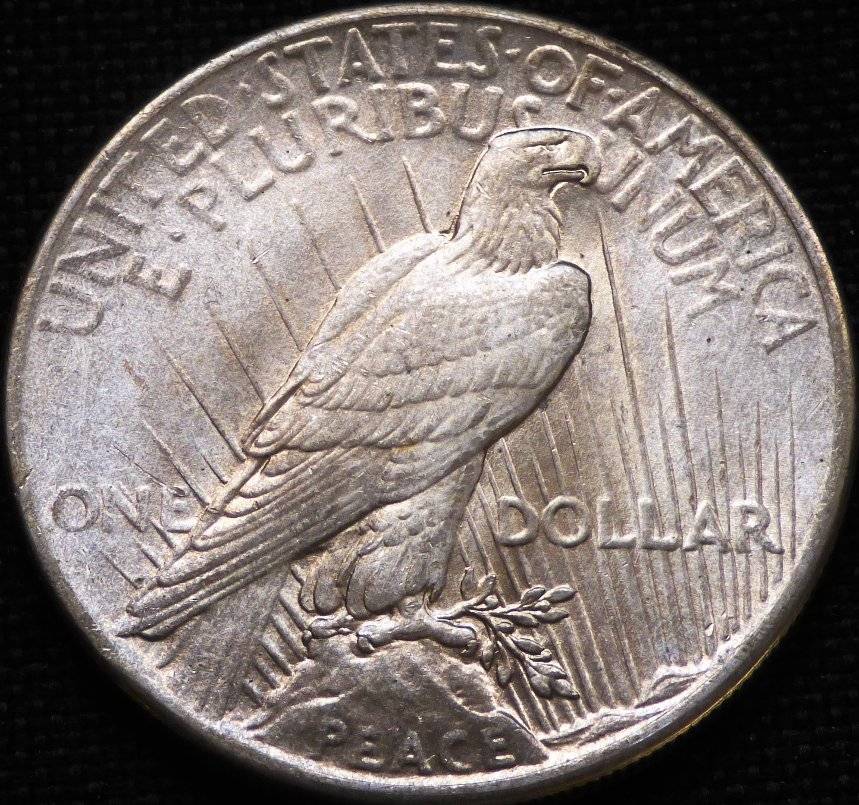 Another-1925-P-Peace-Dollar-Opinions-Please-......-#163