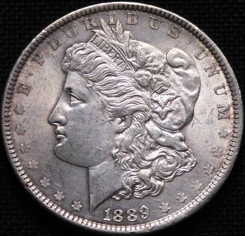 1889-P-Morgan-Dollar-Opinions-Please-......-#167