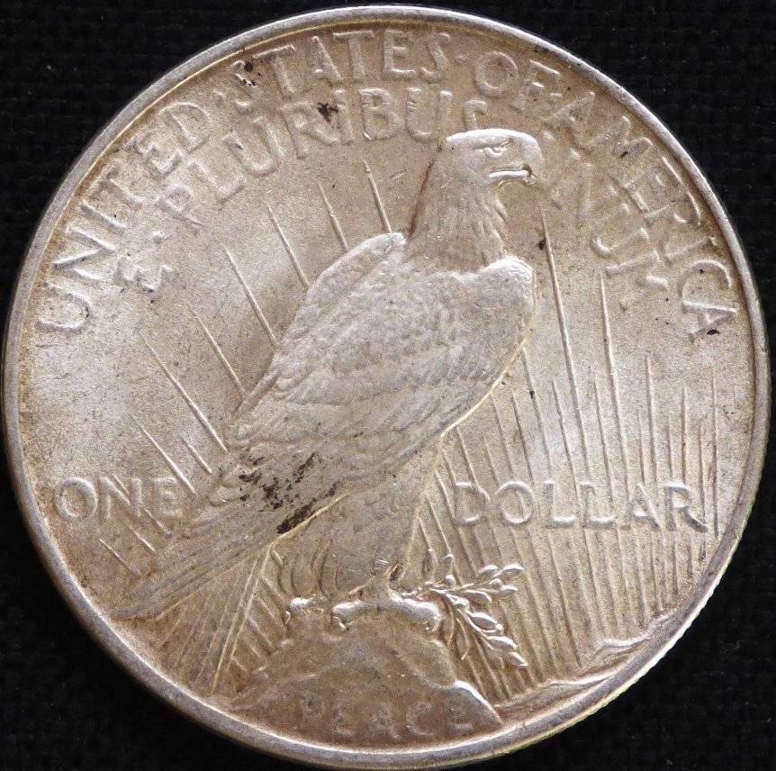 1924-P-Peace-Dollar-Opinions-Please-......-#173