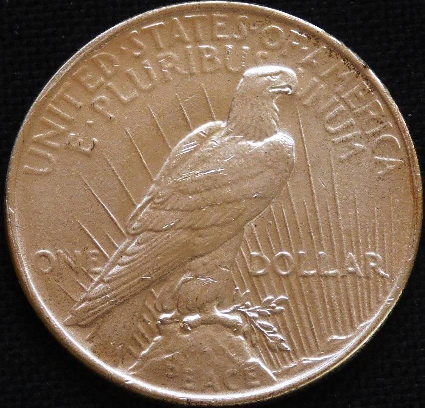 1923-P-Peace-Dollar-Opinions-Please-......-#175-...-New-Pics
