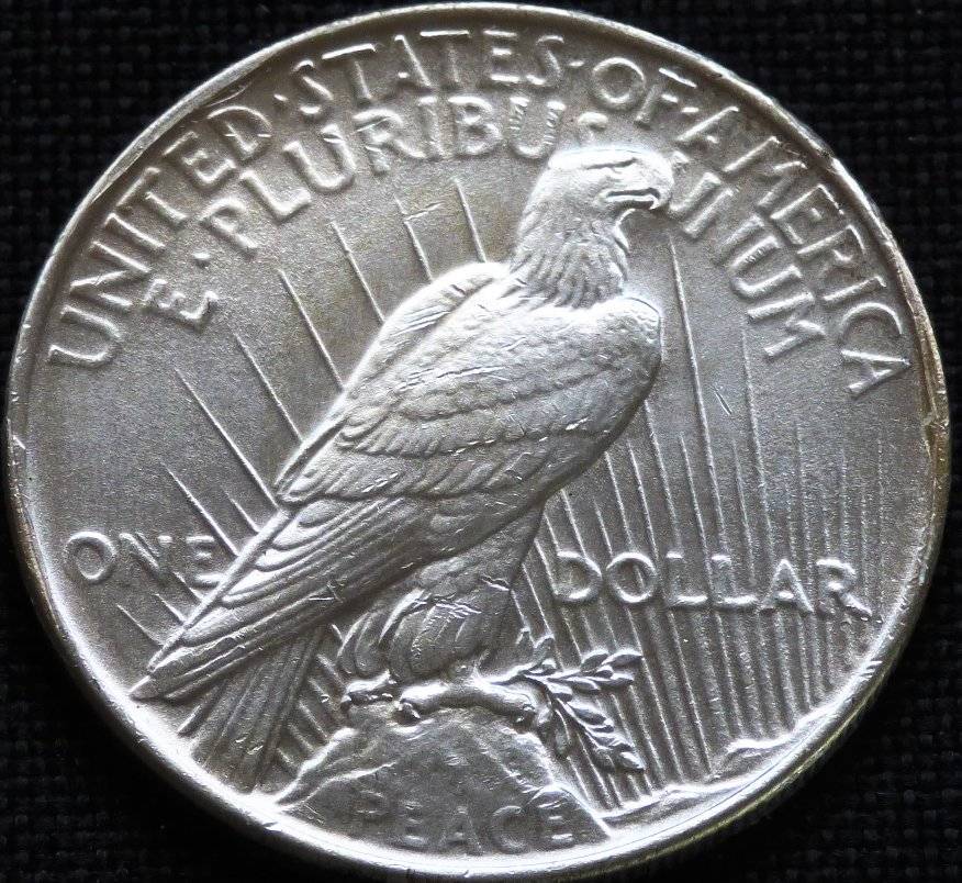 1923-P-Peace-Dollar-Opinions-Please-......-#175-...-New-Pics