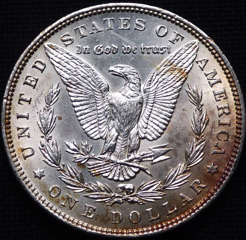 1896-P-Morgan-Dollar-Opinions-Please-......-#206