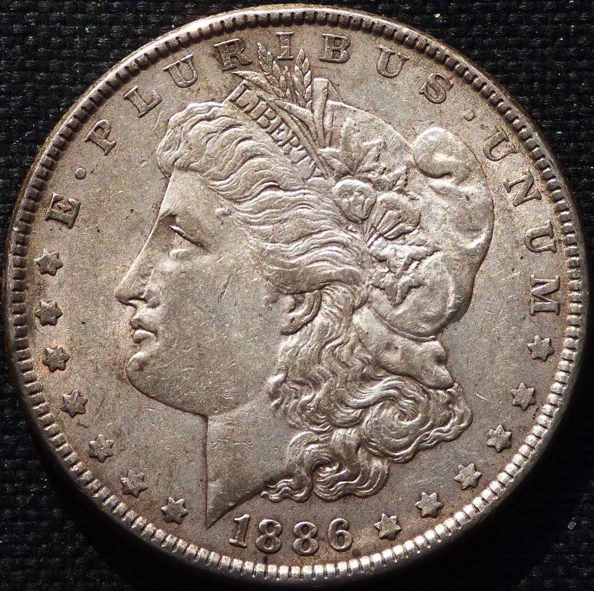 1886-P-Morgan-Dollar-Opinions-Please-......-#228
