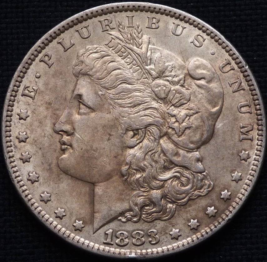 1883-P-Morgan-Dollar-Opinions-Please-......-#232