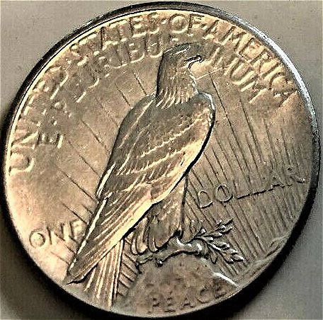 Help-Me-Grade-This-1927-P-Peace-Dollar-Please