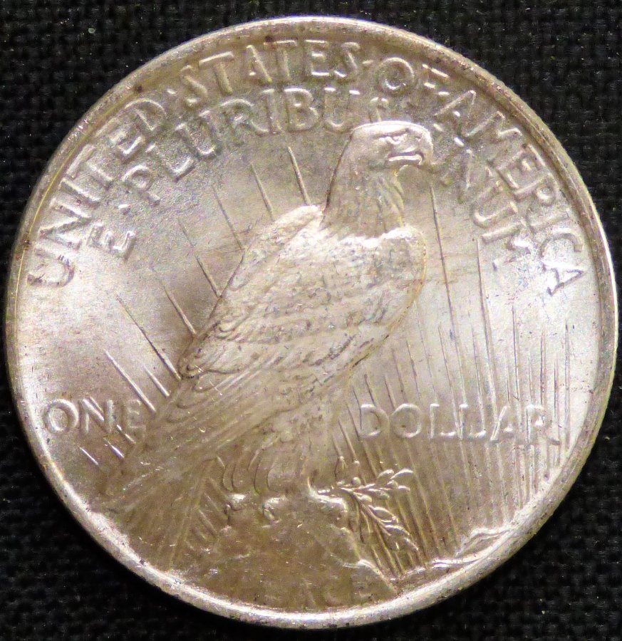 1922-P-Peace-Dollar-New-Photos-.-Opinions-Please-.-#271