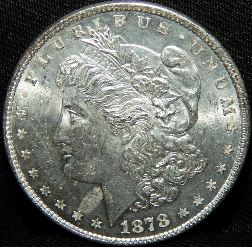 1878-8-Tail-Feather-Morgan-.-Opinions-Please