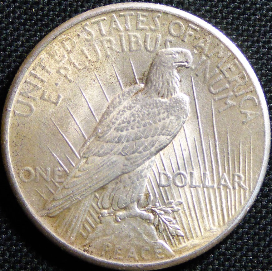 1925-P-Peace-Dollar-.-#283-.-Opinions-Appreciated-*new-Picture*