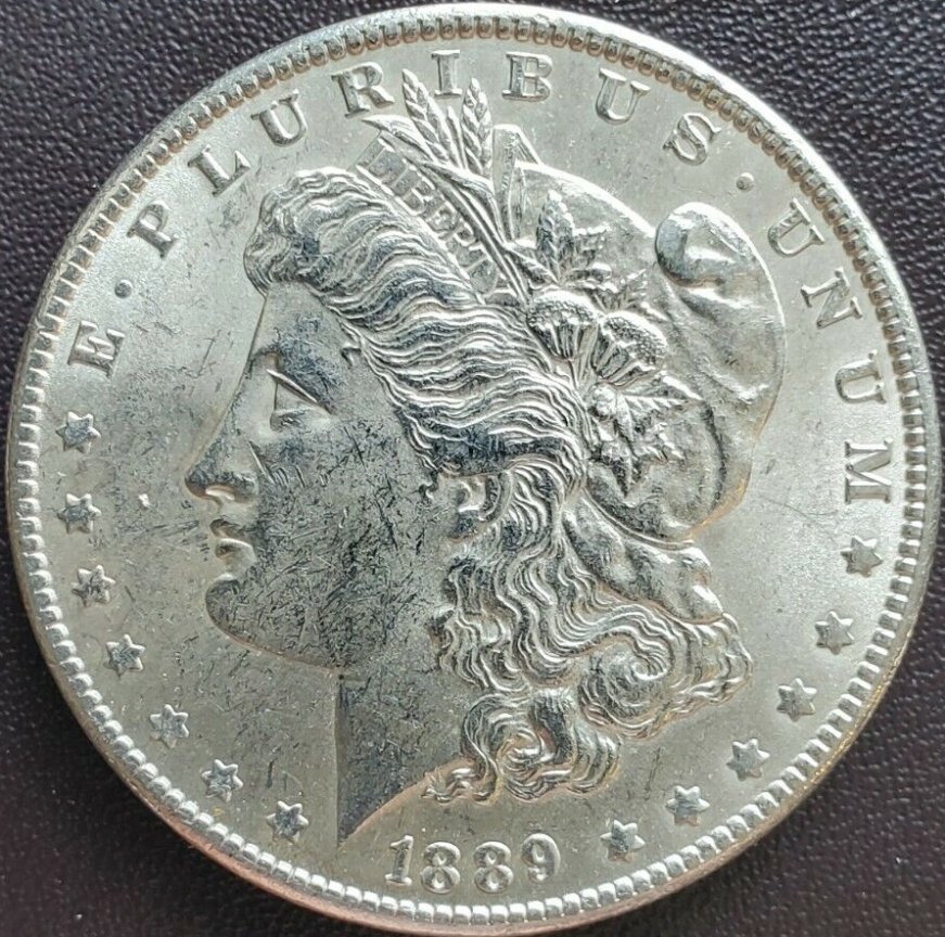 Morgan-1889-P-.-Did-I-Screw-Up?