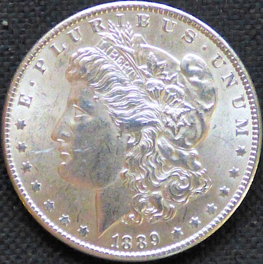 #291-.-Morgan-Dollar-1989-P-.-Grading-And-Opinions-Please