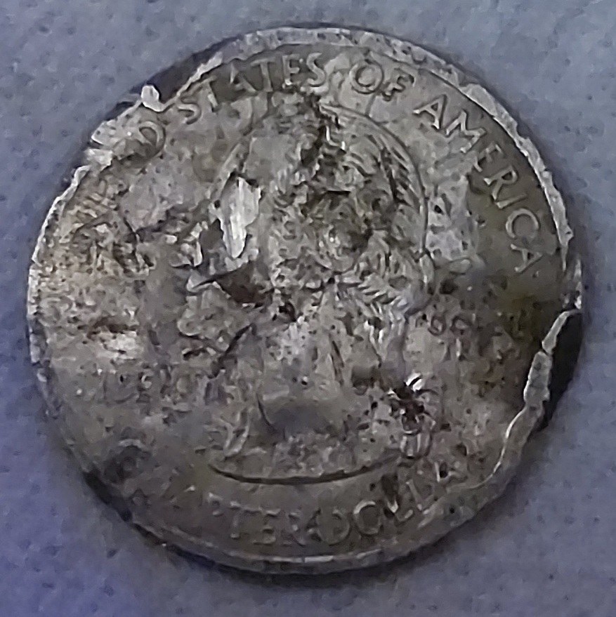 What-Caused-All-This-Damage?-2008-Quarter
