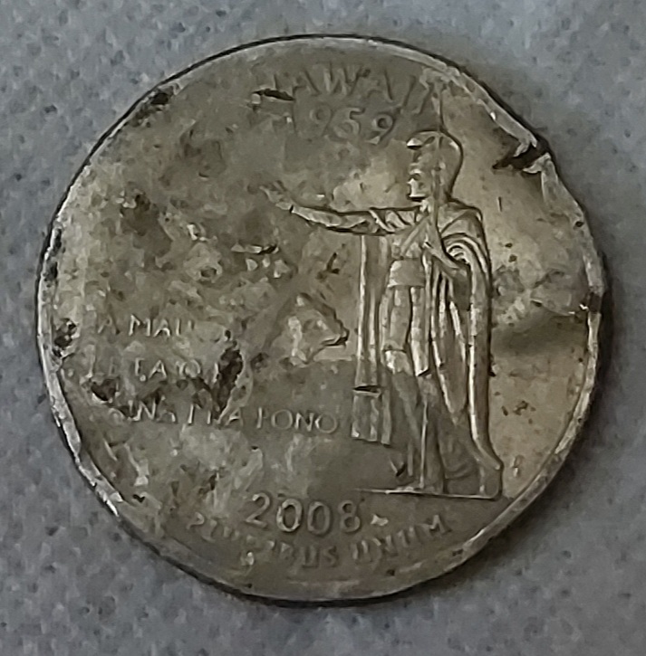 What-Caused-All-This-Damage?-2008-Quarter