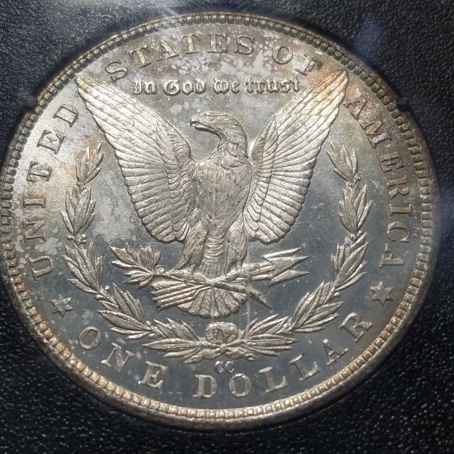 1883-CC-GSA-Dollar-Grade-Me