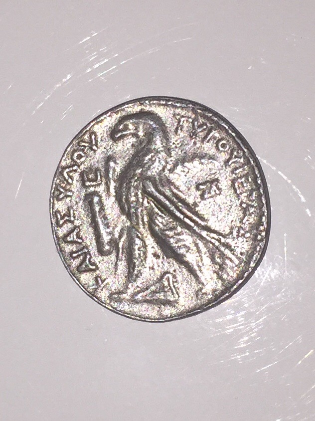 Help.-Looking-For-History-/-Value