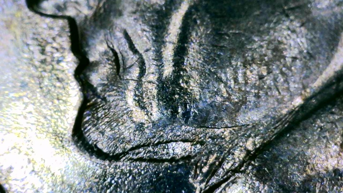 1964-D-Jefferson-Nickel--W/-