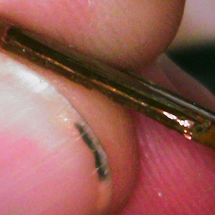 1969-D-Lincoln-Cent---Clipped?