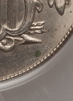 Shield-Nickel-Spot----Verdigris?--PVC?