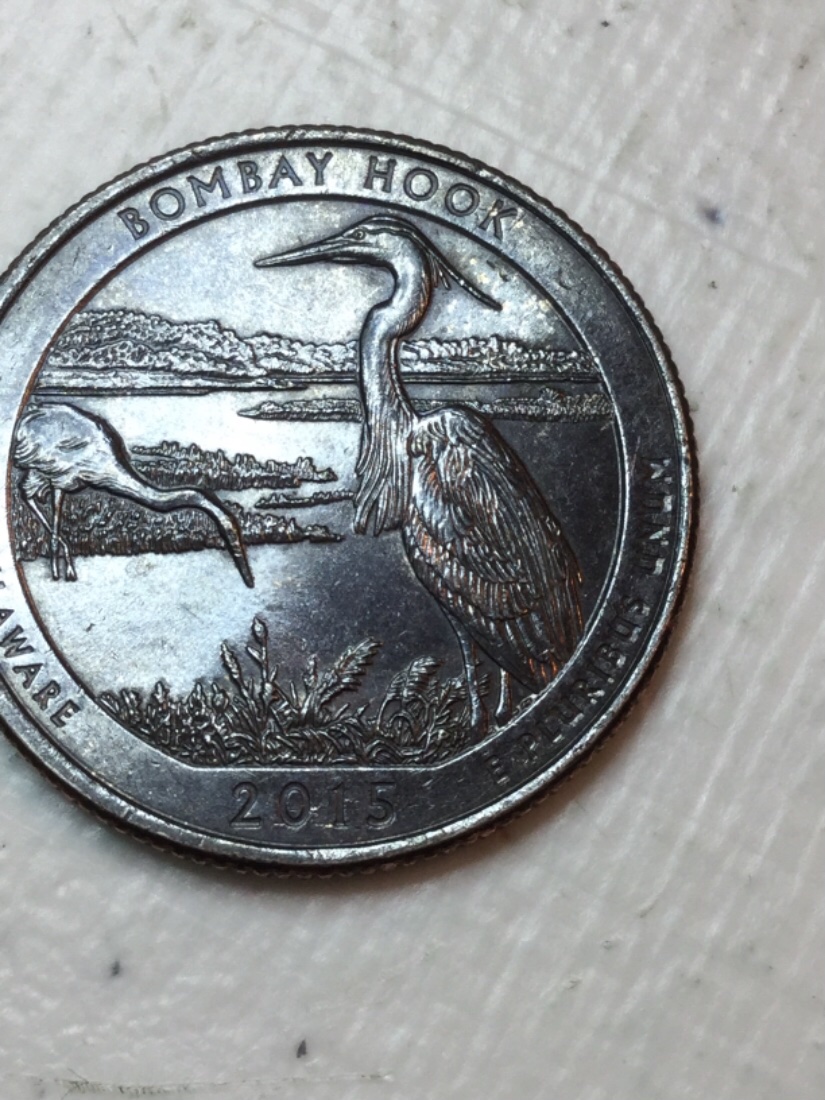 Is-This-Anything-Special?