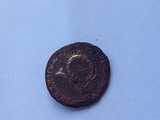 Need-Help-Identifying-Badge