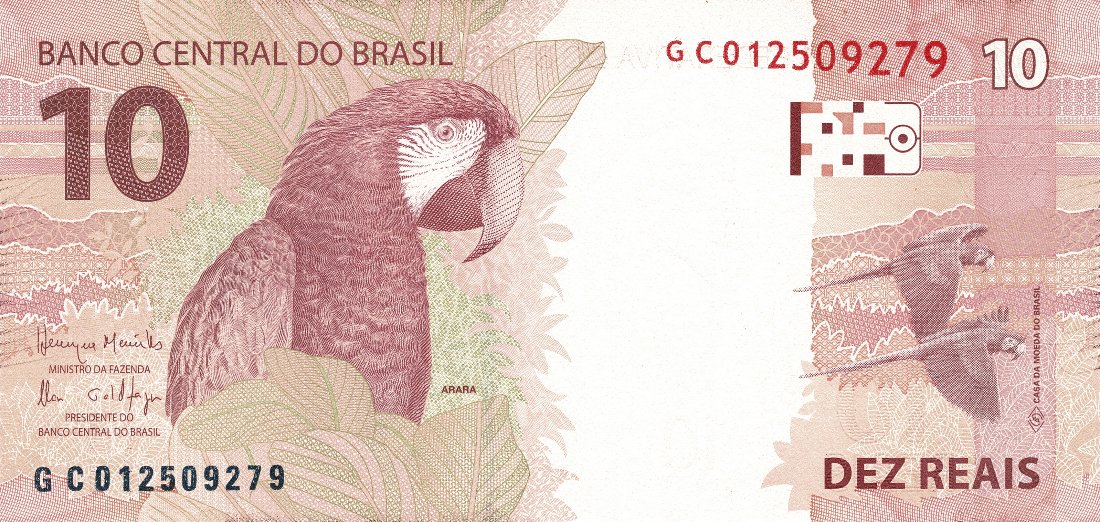 Post-Your-Avian-Notes!