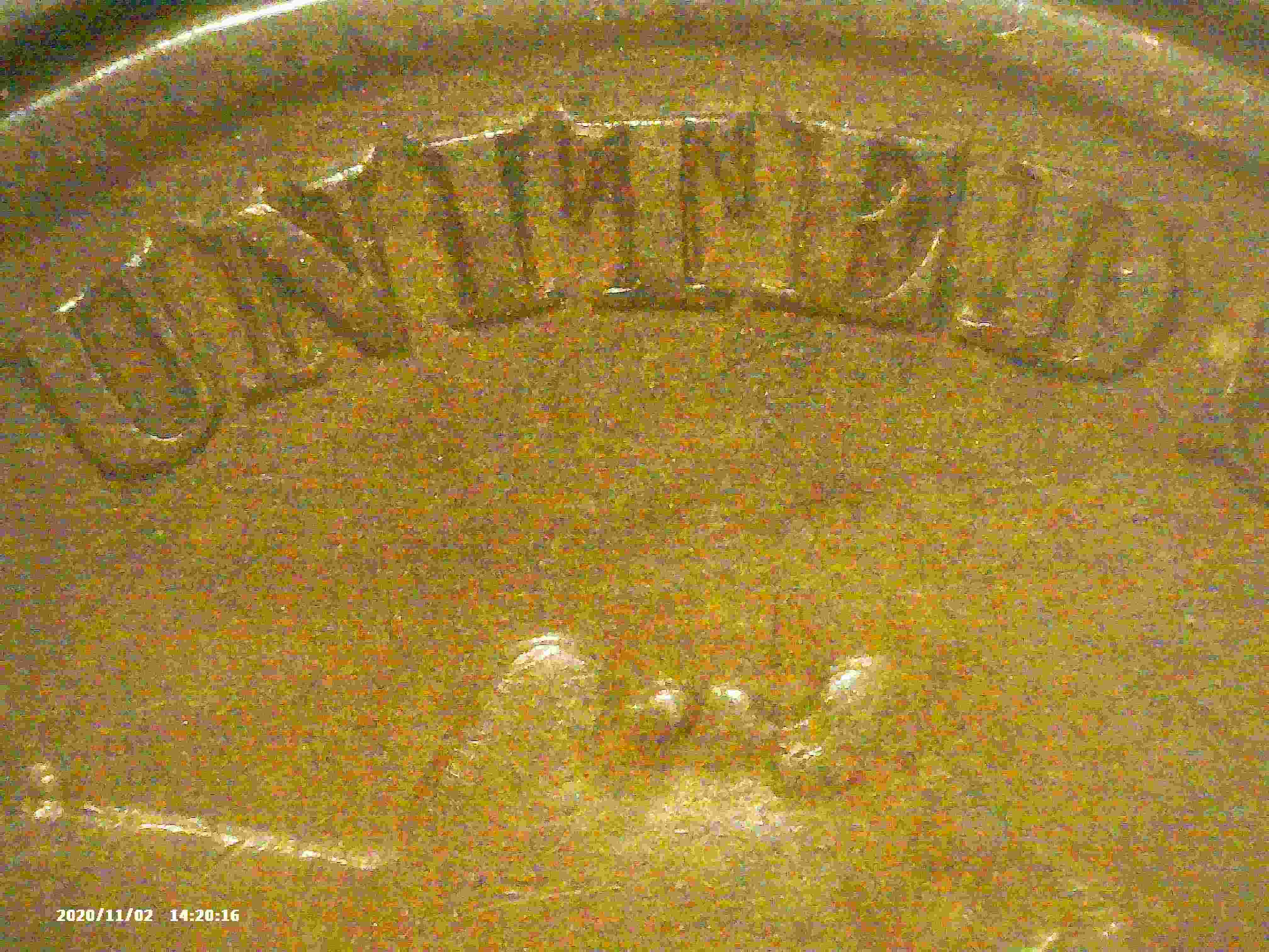 1881-Indian-Head-Cent.-Help