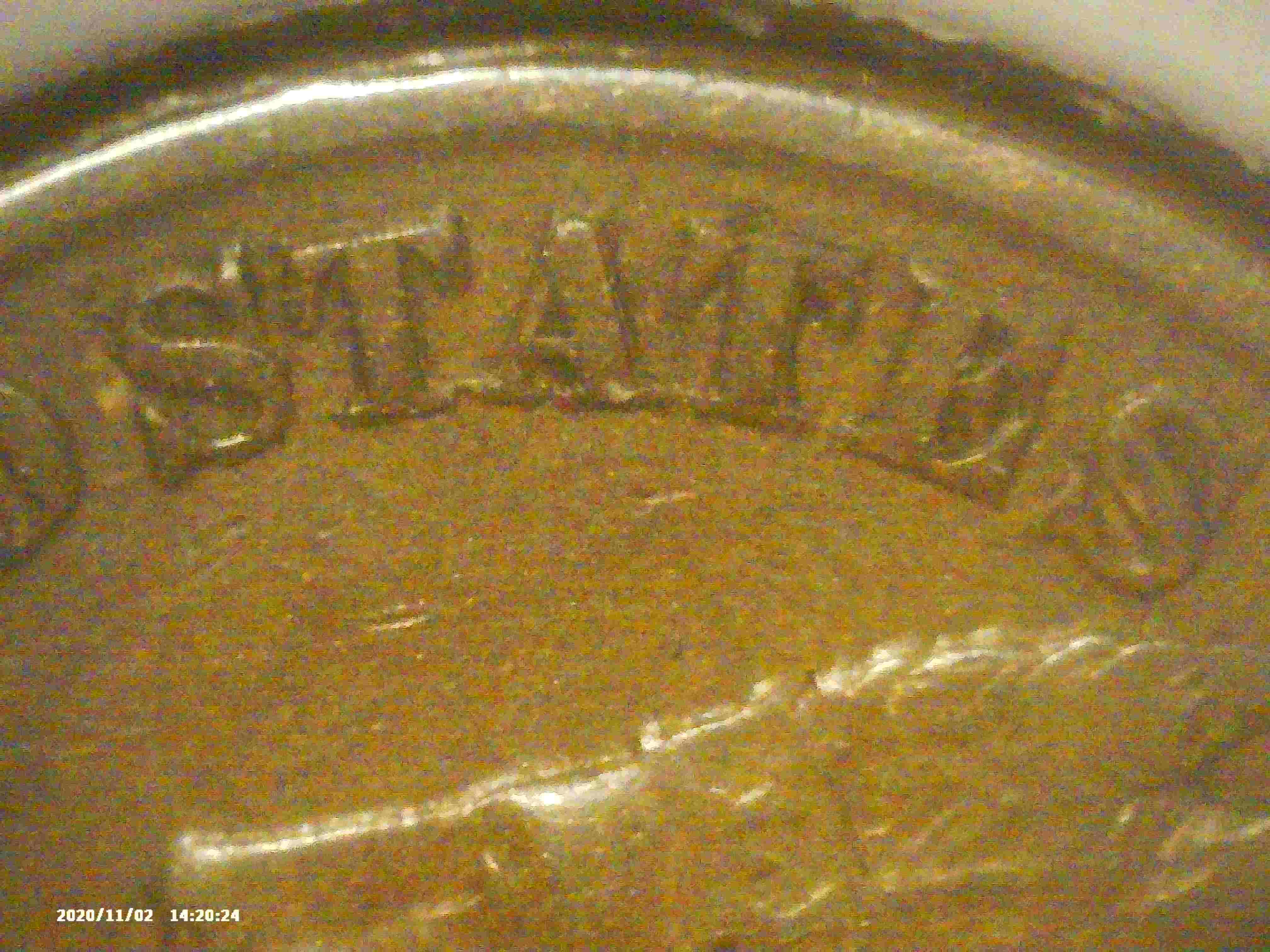 1881-Indian-Head-Cent.-Help