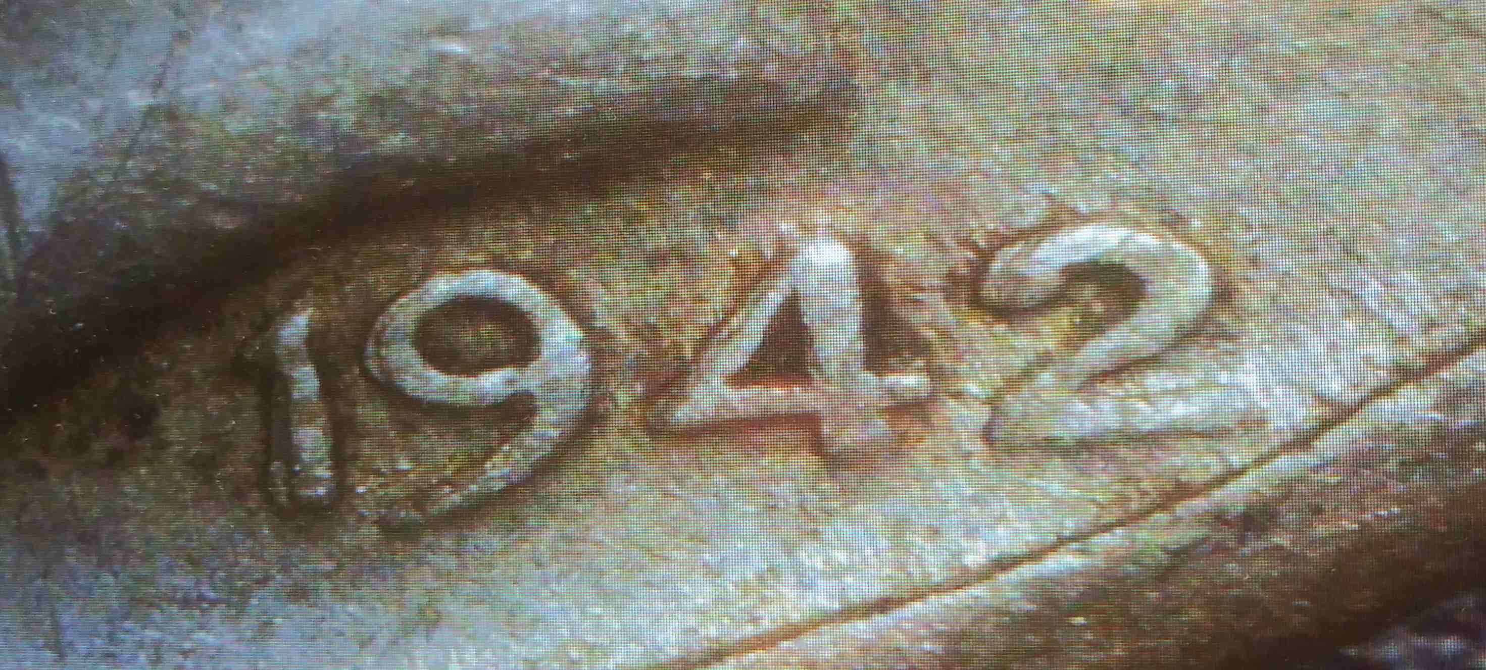 Someone-Tell-Me-This-Is-MD-1942-Mercury-Dime