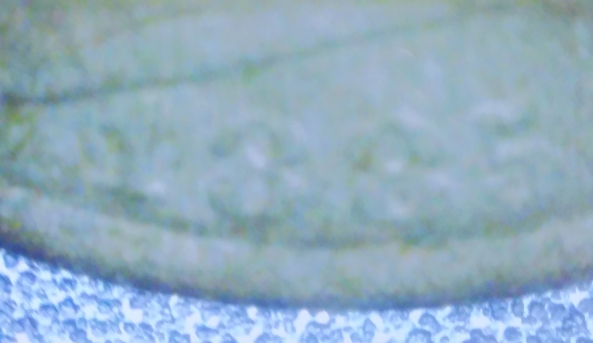 Beat-Up.-And-Battered-Barely-Recognizeable-Coin