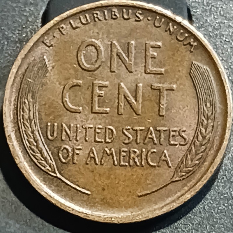 1909-P-Lincoln-Wheat-Cent.----Notches