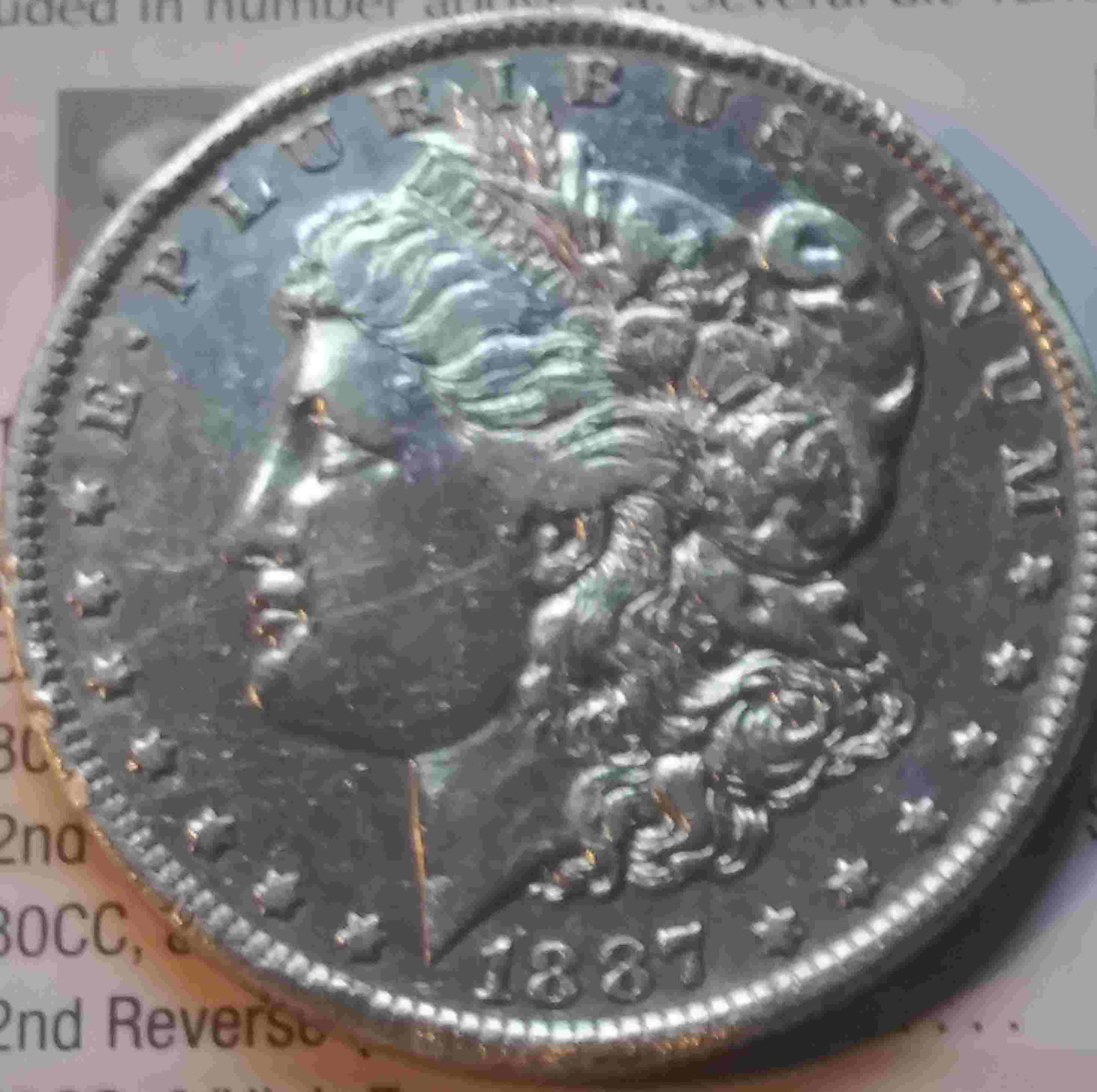 1881-O-And-1887-O--Any-Help-On-Grading-Or-Vans-Would-Be-Much-Appreciated