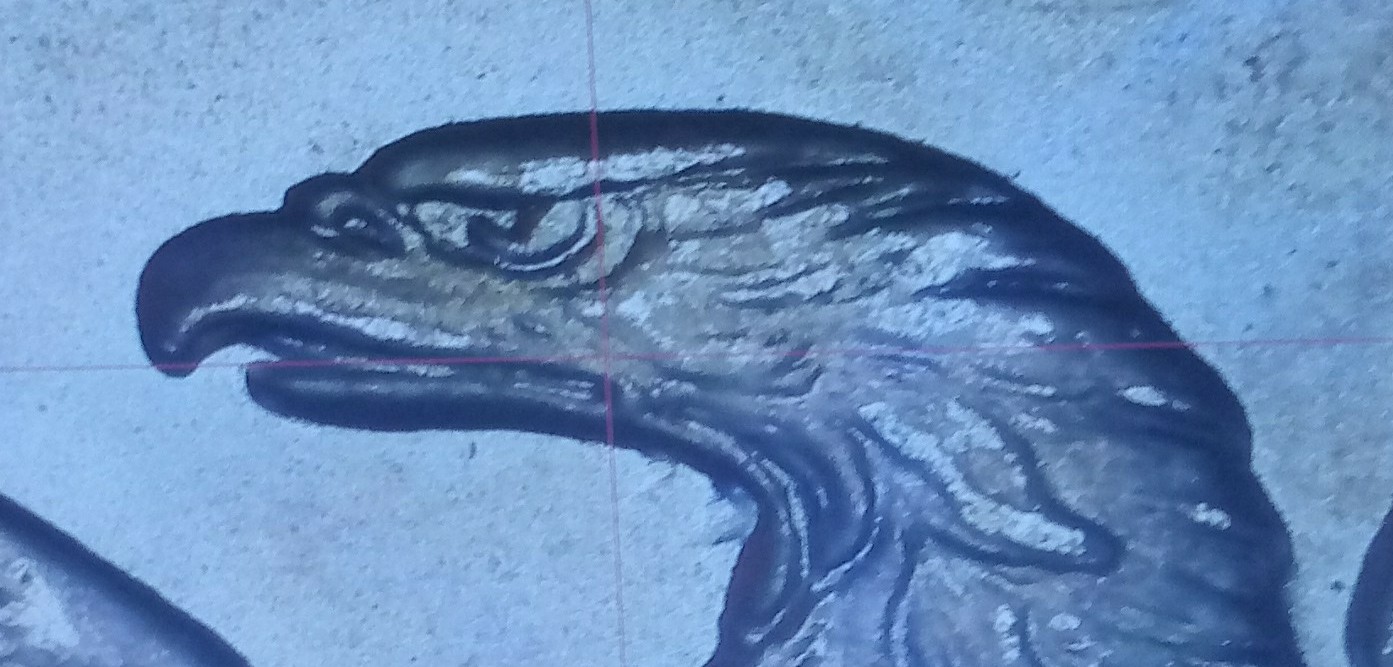 1882-CC-Bearded-Eagle?