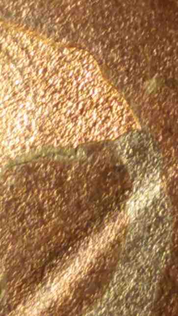 Split-Planchet-Do-You-Think-It-Is-Fake?