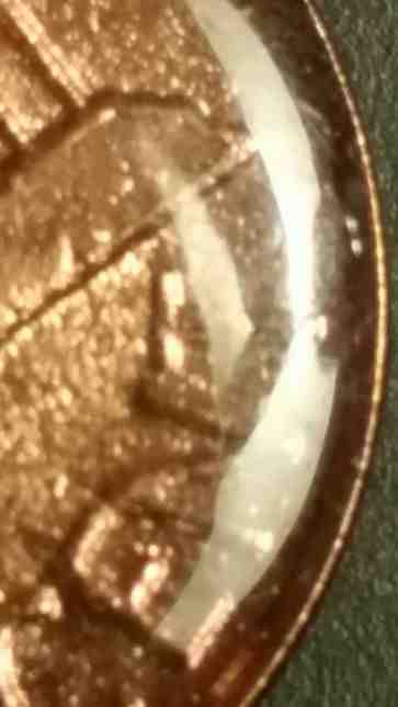 Split-Planchet-Do-You-Think-It-Is-Fake?