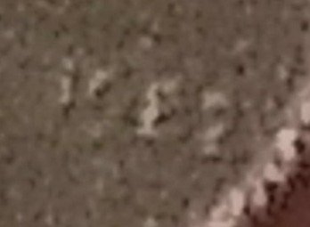 1982-Copper-Penny:-Could-It-Be?--I-Think-It-Could-Be!