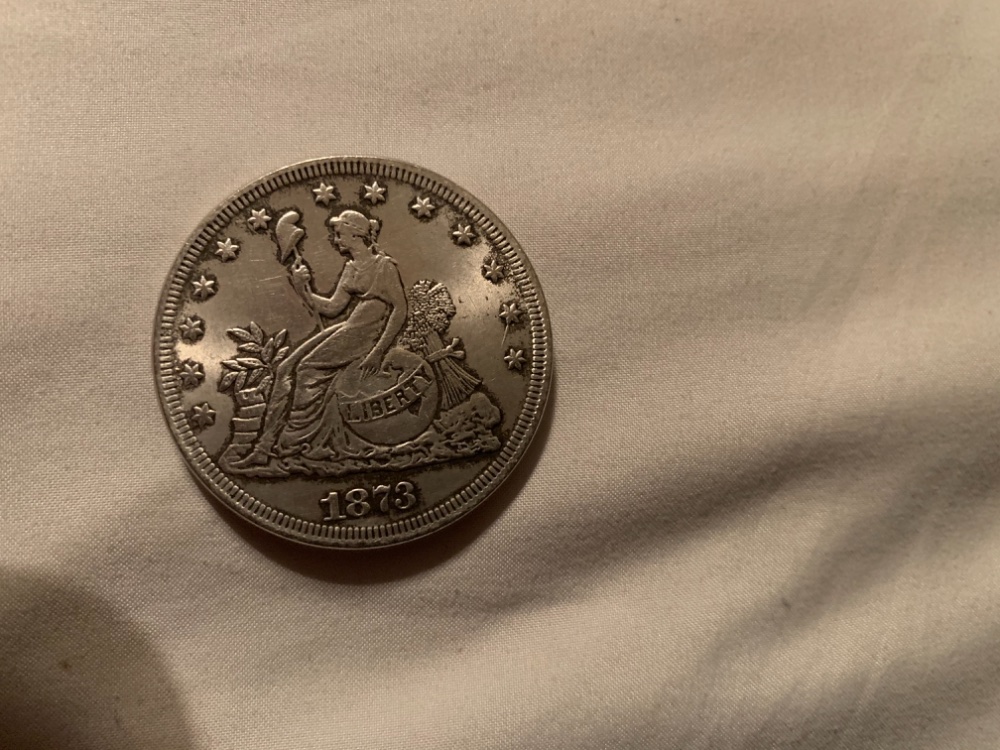 Please-Help-1873-Trade-Dollar