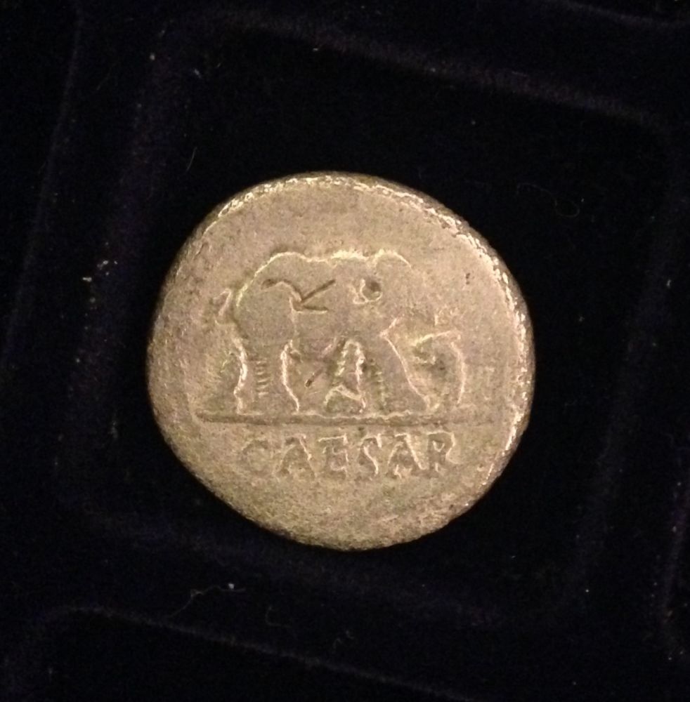 Julius-Caesar-Elephant-Denarius