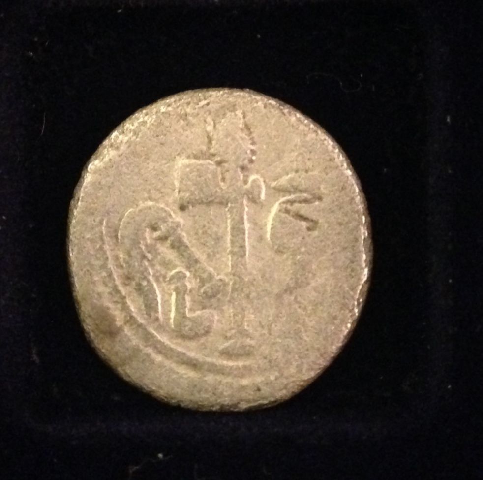 Julius-Caesar-Elephant-Denarius