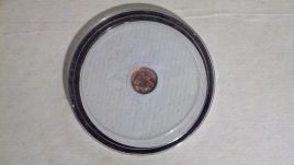 Minature-Indian-Head-Gold-Eagle?