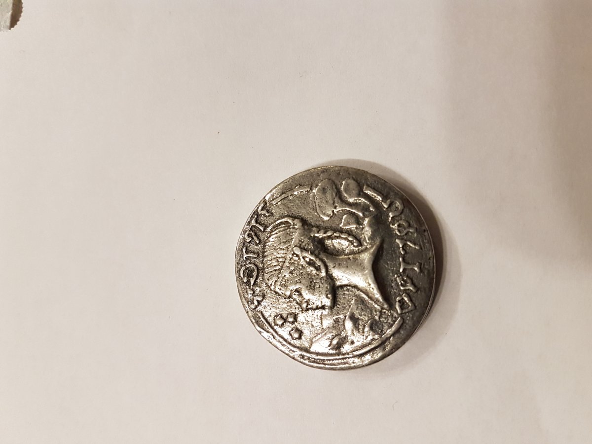 Help-Identify-Coin-Please,-Id:-Modern-Token-/-Fantasy-Piece