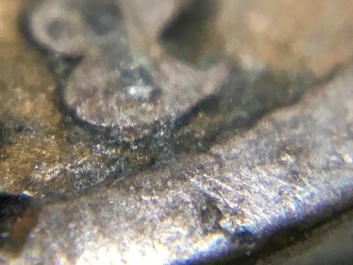 Very-Worn-&-Dirty-1888-Indian-Cent.-Any-Chance-It's-The-8/7-Overdate?