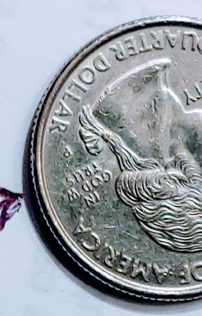 1999-Georgia-Quarter-Obverse-And-Reverse