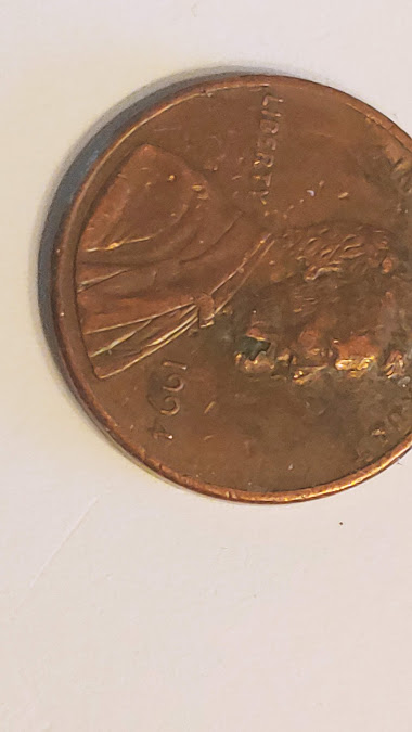 1994-Penny--The-Cause-Of-This-Demise