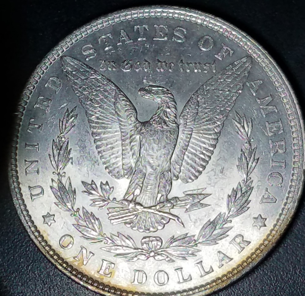1879-Morgan-Dollar..-Help-Grading-Please