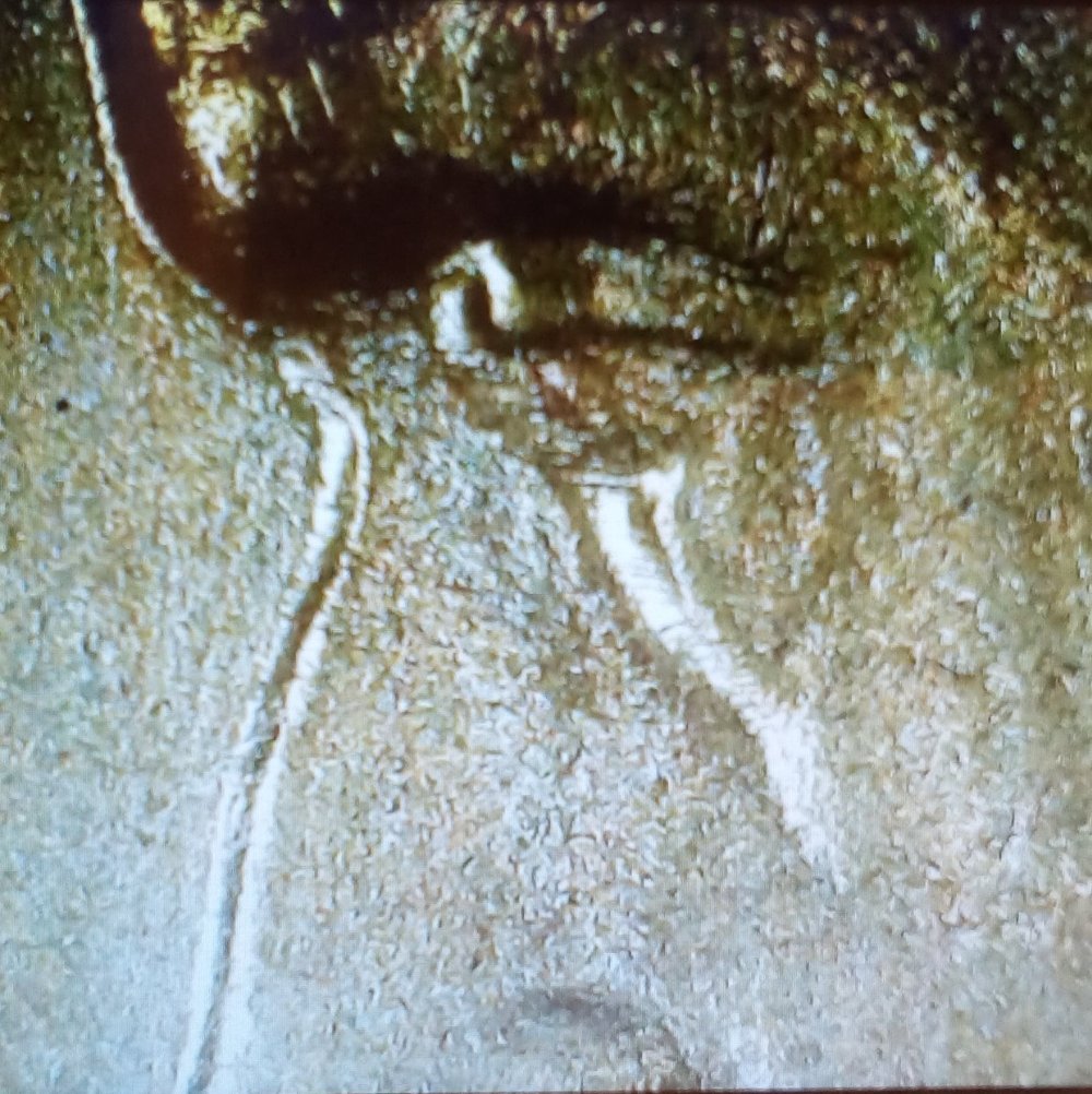 1943-P-Jefferson-War-Nickel-Doubled-Eye?-Help-Please!