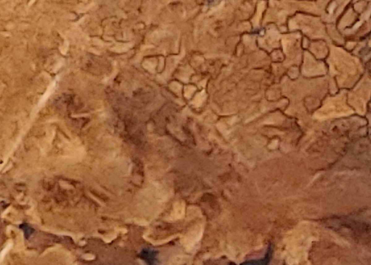 1881-Indian-Head-Penny