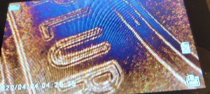 2021-Double-Strike-Obverse-And-Reverse-.date-And-Words