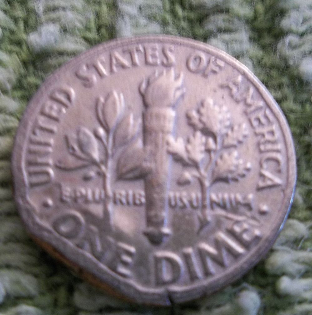 Could-This-Be-Cud-On-A-Dime