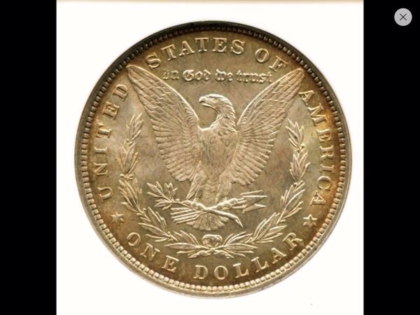 1880-P-Morgan-You-Vs-NGC