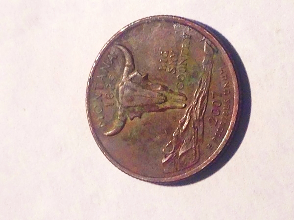 Montana-Quarter-Completely-Copper?