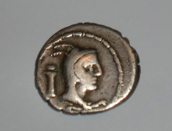 L.-Papi-Roman-Denarius-79Bc